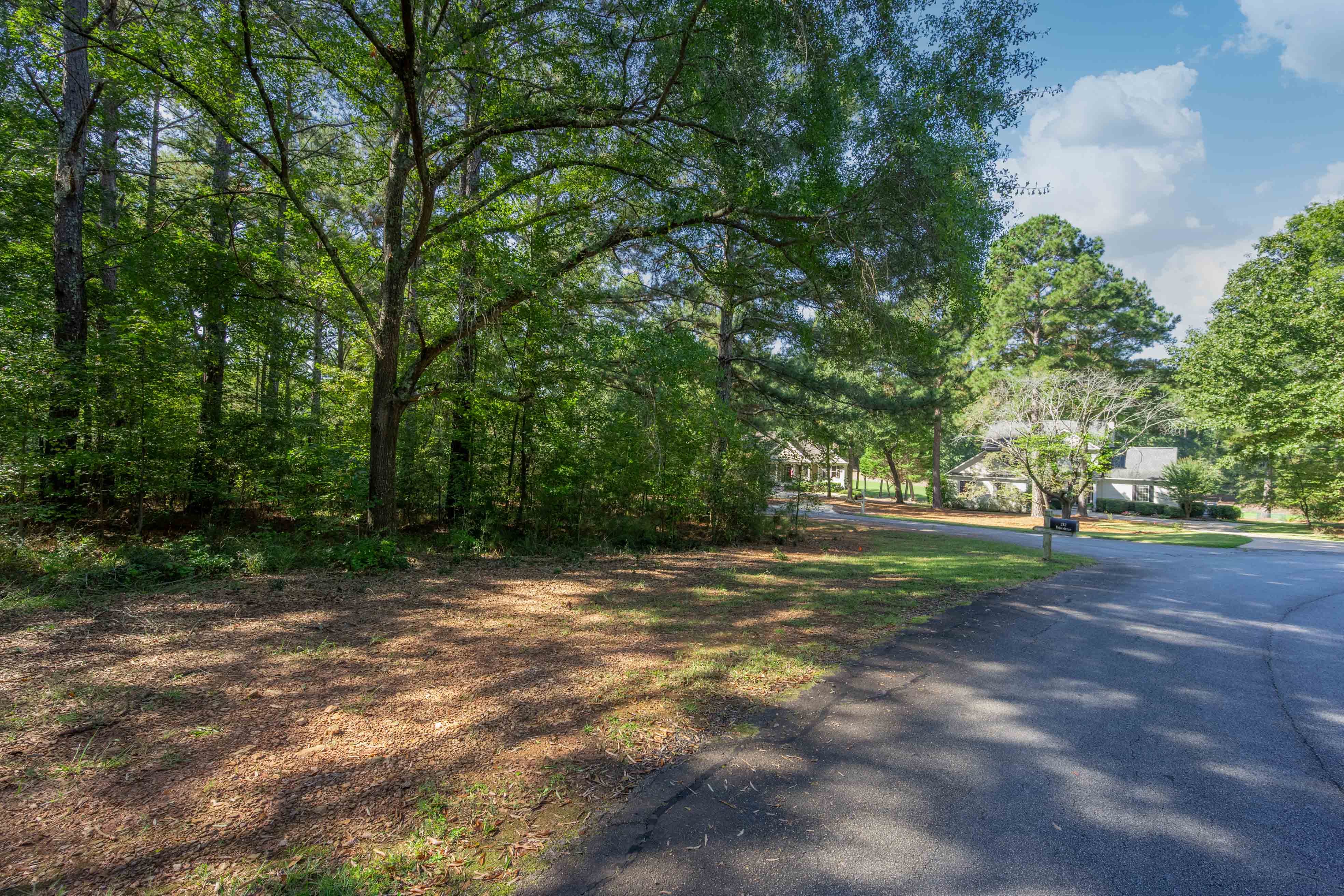 236 Broadlands Drive image 4